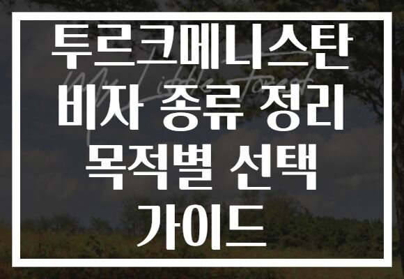 투르크메니스탄 비자 종류 정리 목적별 선택 가이드