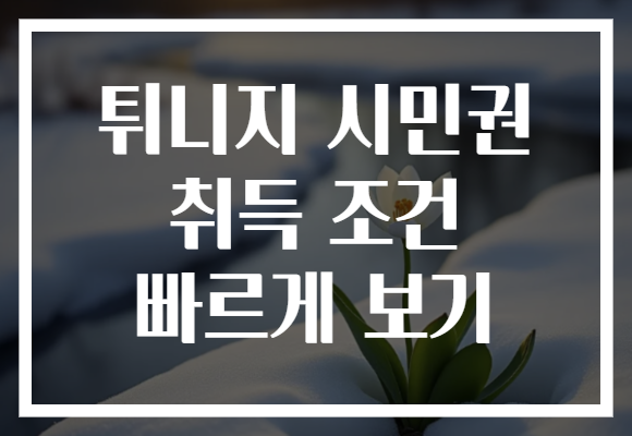 튀니지 시민권 취득 조건 빠르게 보기
