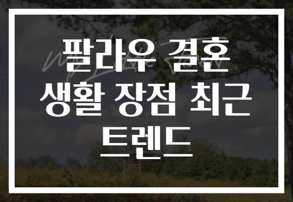 팔라우 결혼 생활 장점 최근 트렌드