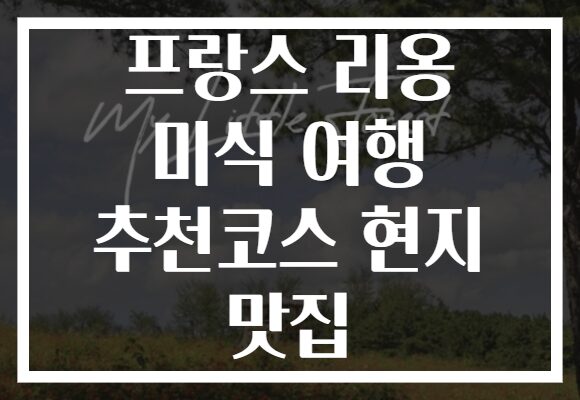 프랑스 리옹 미식 여행 추천코스 현지 맛집