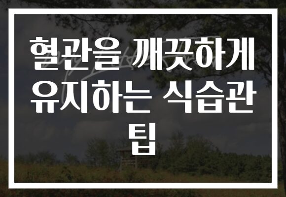 혈관을 깨끗하게 유지하는 식습관 팁