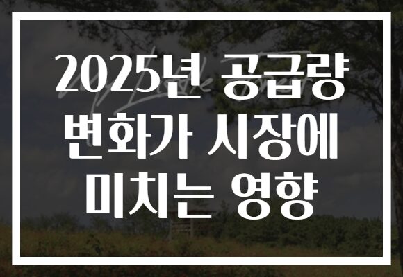 2025년 공급량 변화가 시장에 미치는 영향