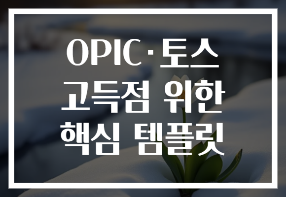 OPIC·토스 고득점 위한 핵심 템플릿
