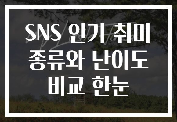 SNS 인기 취미 종류와 난이도 비교 한눈