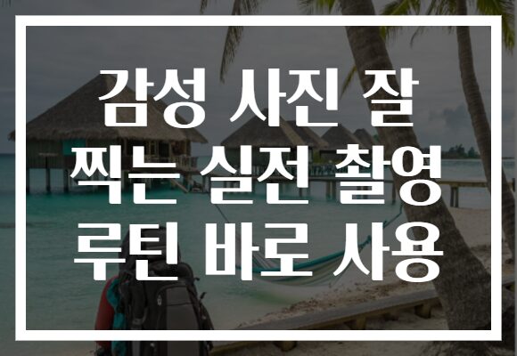 감성 사진 잘 찍는 실전 촬영 루틴 바로 사용