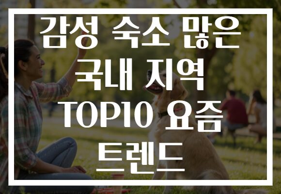 감성 숙소 많은 국내 지역 TOP10 요즘 트렌드