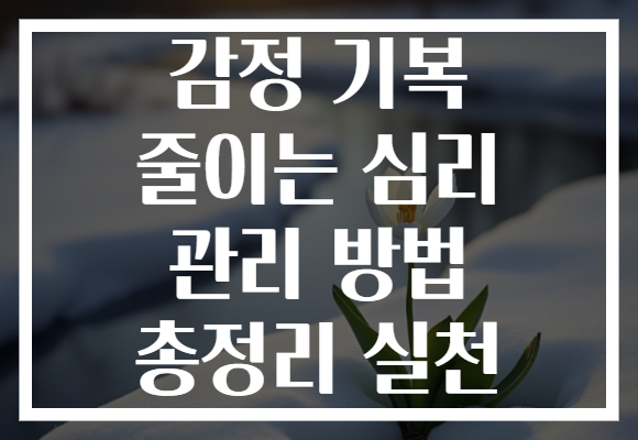 감정 기복 줄이는 심리 관리 방법 총정리 실천