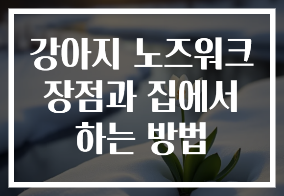 강아지 노즈워크 장점과 집에서 하는 방법