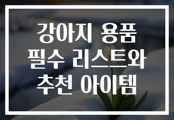 강아지 용품 필수 리스트와 추천 아이템