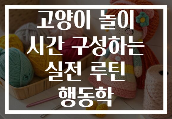 고양이 놀이 시간 구성하는 실전 루틴 행동학