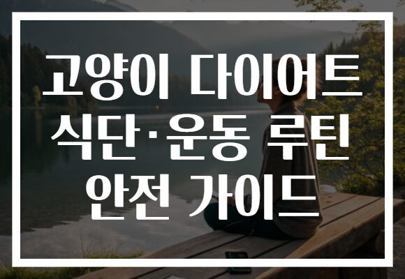 고양이 다이어트 식단·운동 루틴 안전 가이드