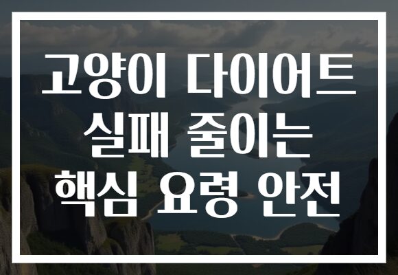 고양이 다이어트 실패 줄이는 핵심 요령 안전