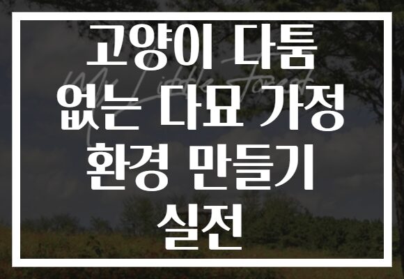 고양이 다툼 없는 다묘 가정 환경 만들기 실전