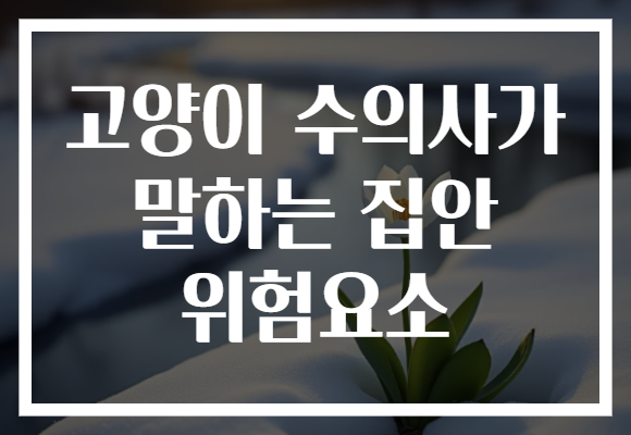 고양이 수의사가 말하는 집안 위험요소