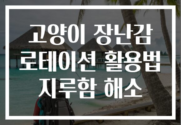 고양이 장난감 로테이션 활용법 지루함 해소