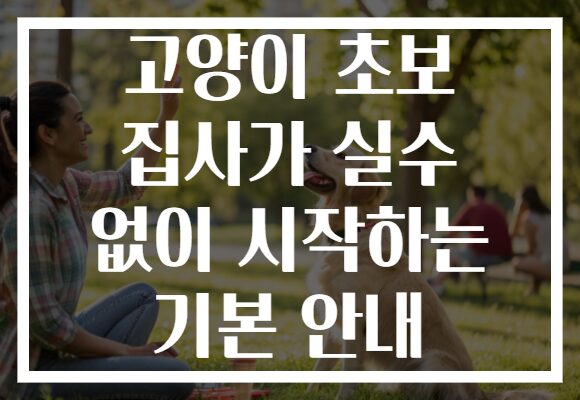 고양이 초보 집사가 실수 없이 시작하는 기본 안내