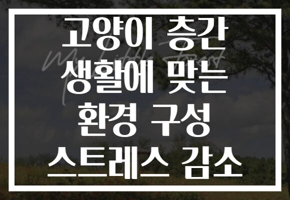 고양이 층간 생활에 맞는 환경 구성 스트레스 감소