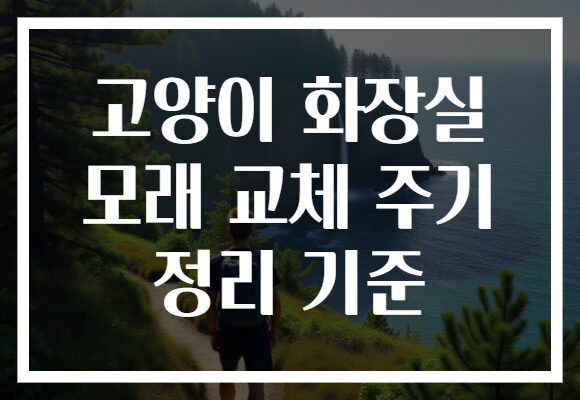 고양이 화장실 모래 교체 주기 정리 기준