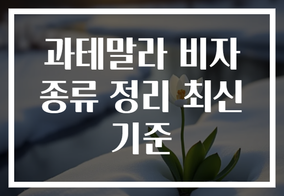 과테말라 비자 종류 정리 최신 기준