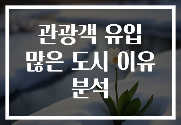 관광객 유입 많은 도시 이유 분석