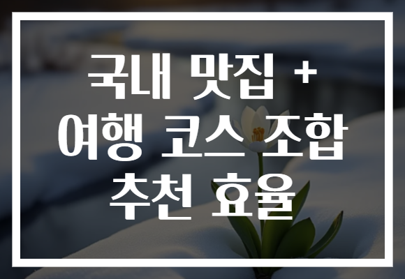 국내 맛집 + 여행 코스 조합 추천 효율