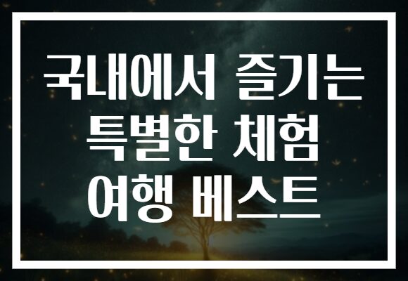 국내에서 즐기는 특별한 체험 여행 베스트