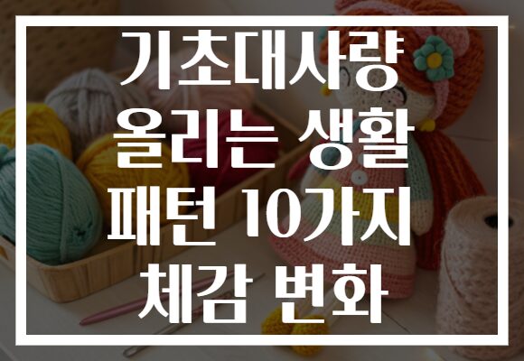 기초대사량 올리는 생활 패턴 10가지 체감 변화