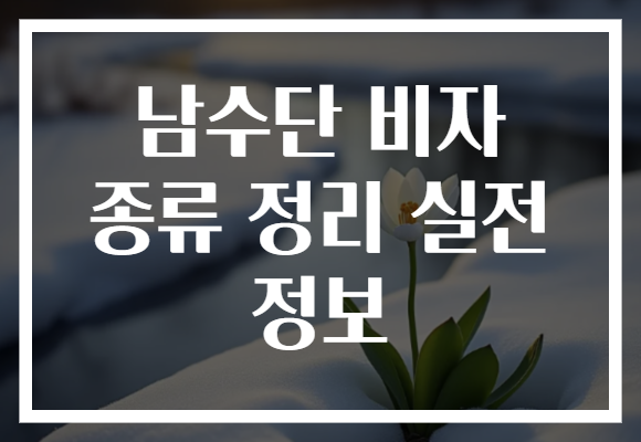 남수단 비자 종류 정리 실전 정보