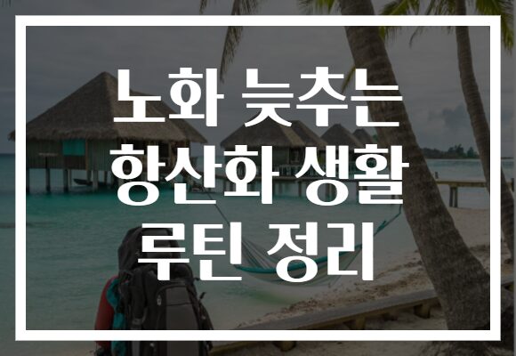 노화 늦추는 항산화 생활 루틴 정리