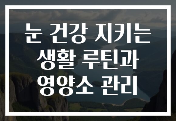 눈 건강 지키는 생활 루틴과 영양소 관리