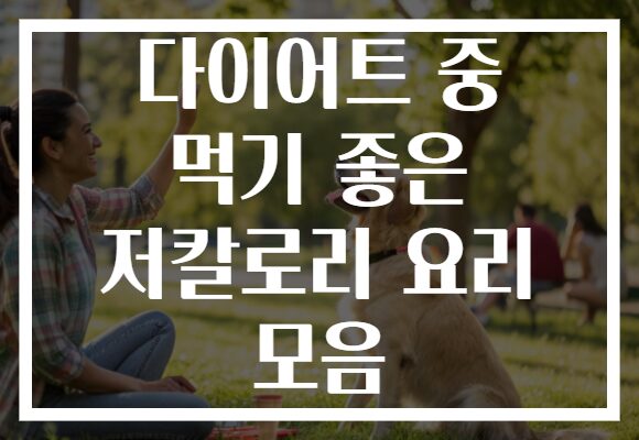 다이어트 중 먹기 좋은 저칼로리 요리 모음