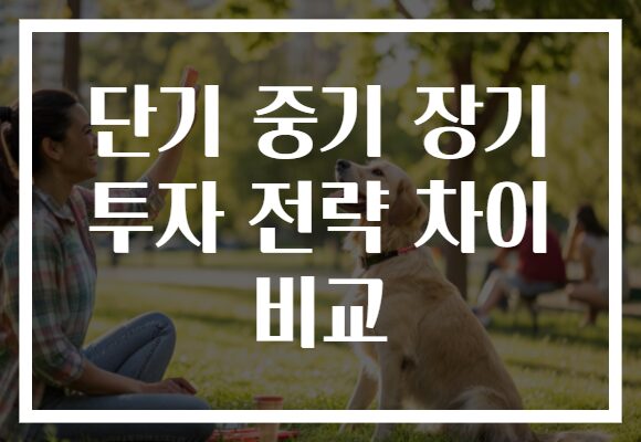 단기 중기 장기 투자 전략 차이 비교