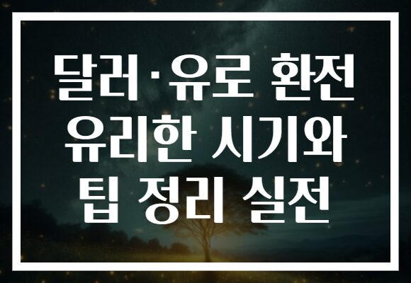달러·유로 환전 유리한 시기와 팁 정리 실전