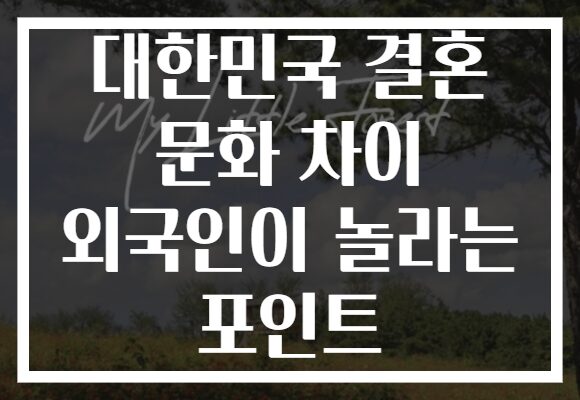 대한민국 결혼 문화 차이 외국인이 놀라는 포인트