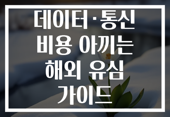 데이터·통신 비용 아끼는 해외 유심 가이드