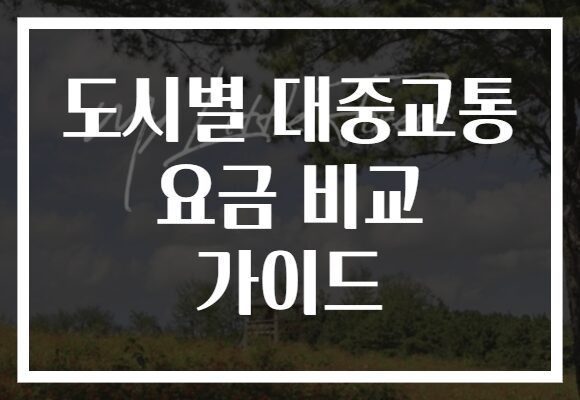 도시별 대중교통 요금 비교 가이드