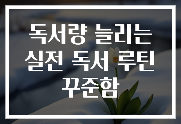 독서량 늘리는 실전 독서 루틴 꾸준함