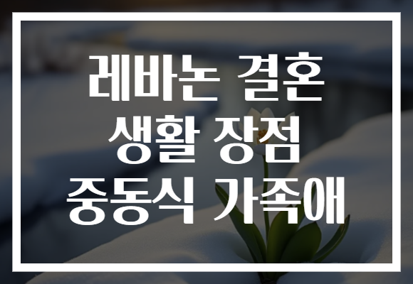 레바논 결혼 생활 장점 중동식 가족애