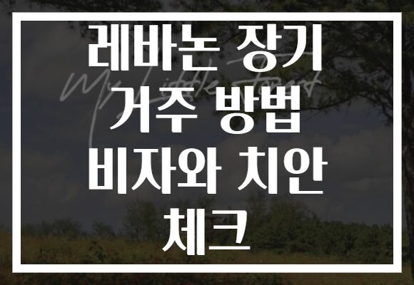 레바논 장기 거주 방법 비자와 치안 체크