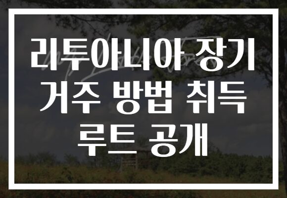 리투아니아 장기 거주 방법 취득 루트 공개