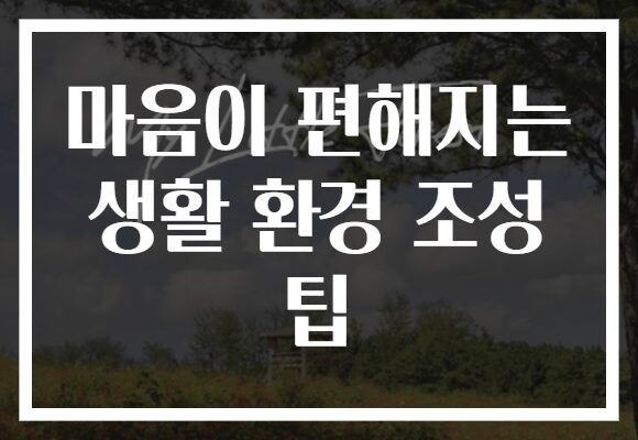 마음이 편해지는 생활 환경 조성 팁