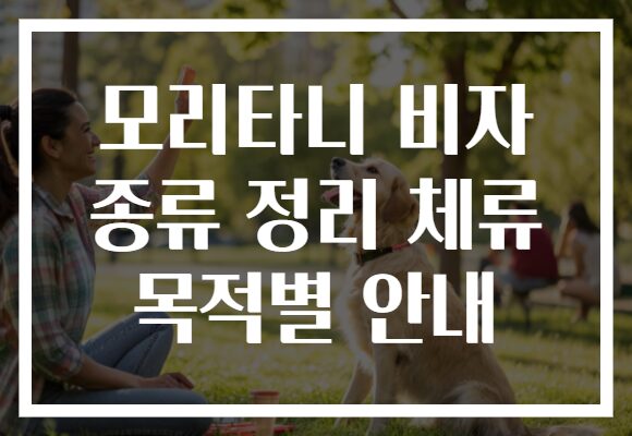 모리타니 비자 종류 정리 체류 목적별 안내