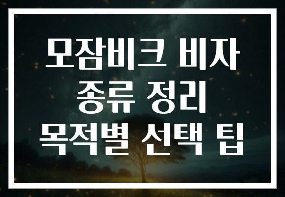 모잠비크 비자 종류 정리 목적별 선택 팁