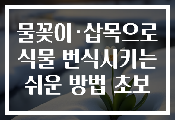 물꽂이·삽목으로 식물 번식시키는 쉬운 방법 초보