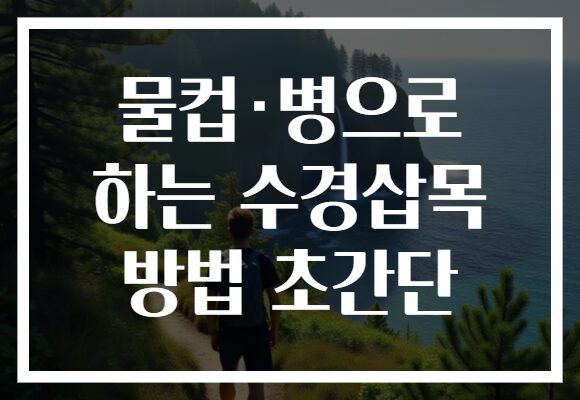 물컵·병으로 하는 수경삽목 방법 초간단