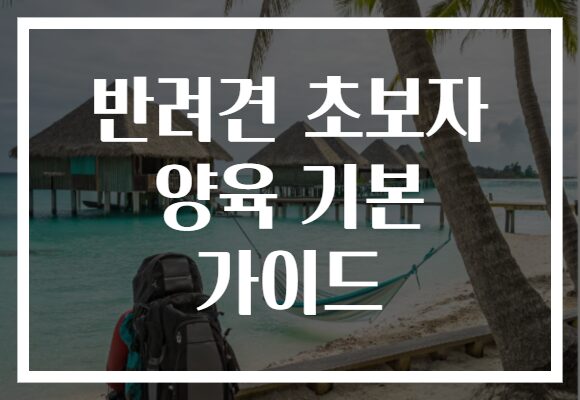 반려견 초보자 양육 기본 가이드