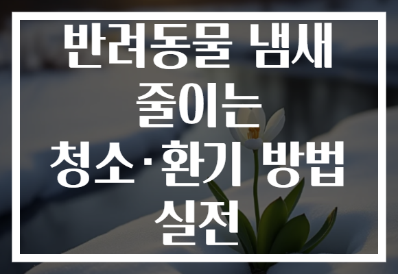 반려동물 냄새 줄이는 청소·환기 방법 실전
