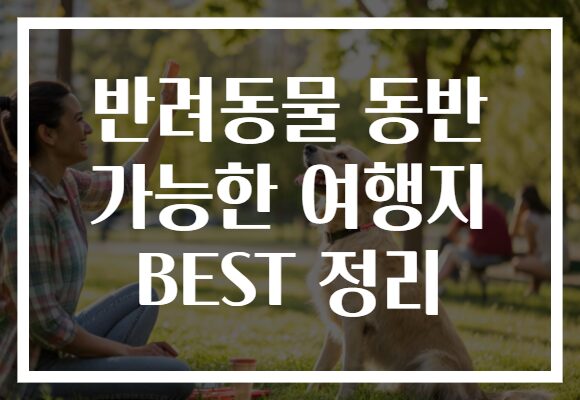 반려동물 동반 가능한 여행지 BEST 정리