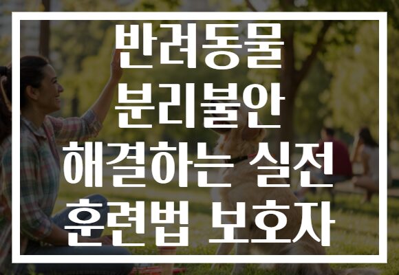 반려동물 분리불안 해결하는 실전 훈련법 보호자