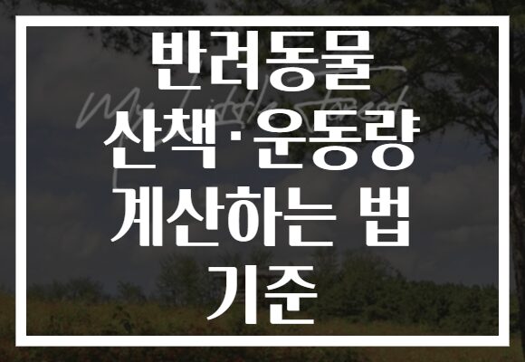 반려동물 산책·운동량 계산하는 법 기준